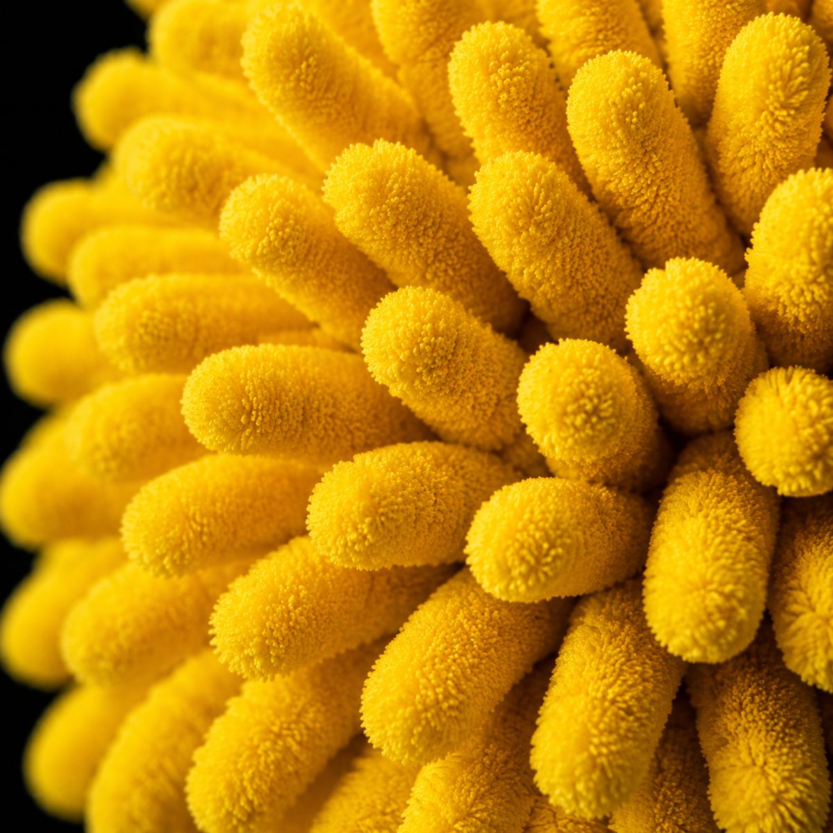 AutoCareX Washing Mitt